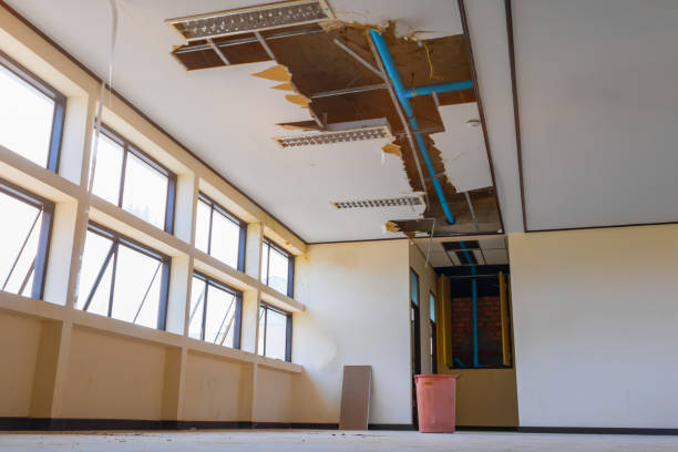 Best Flood damage cleanup  in Ack, NY