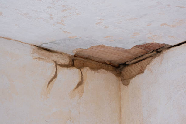 Best Water damage restoration services  in Ack, NY