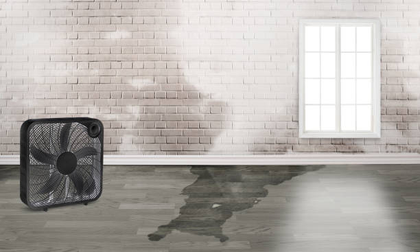 Best 24-hour water damage restoration  in Ack, NY