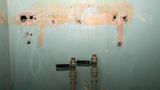 Best 24/7 water damage repair  in Ack, NY