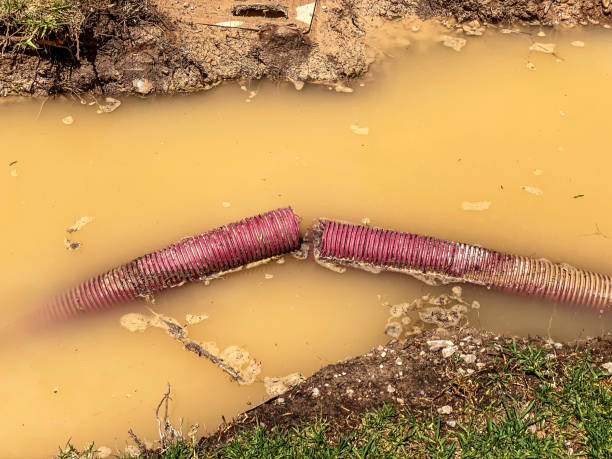 Best Carpet water damage restoration  in Ack, NY