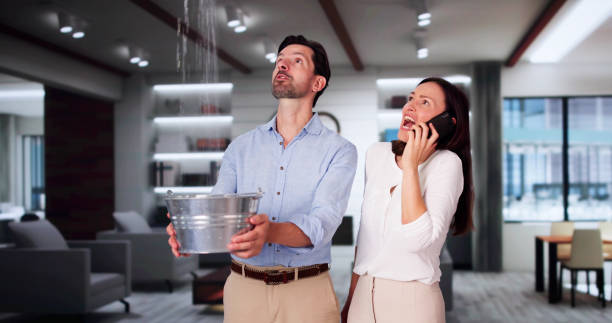 Best Sewage cleanup and water damage restoration  in Ack, NY