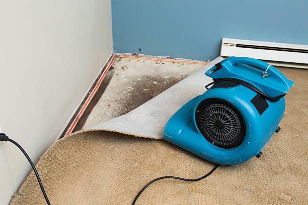 Best Water damage cleanup near me  in Ack, NY